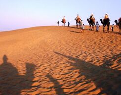 Camel Safari And Tour In Jodhpur 