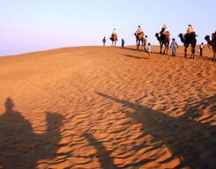 Sightseeing Tour of Jodhpur & Camel Safari 