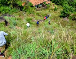 Kurinjal Peak Trek