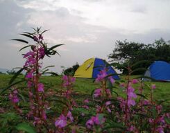 Camping In Duke's Nose