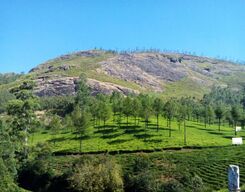 Nagarmudi Hills Day Trek