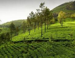 Chockanad Day Trek