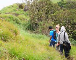 Mattupetty Hill Trek