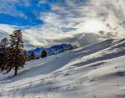 Kuari Pass Trek (Ex. Joshimath)