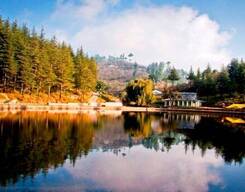 Camping in Narkanda and Hatu Peak Trek