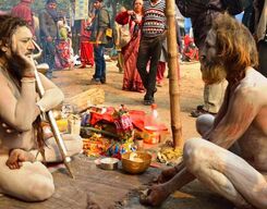 Gangasagar Tour from Kolkata – Sagar Island Pilgrimage & Kapil Muni Temple Darshan