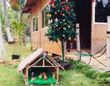 Christmas Carnival 2018