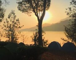 Camping in the Tea Plantation