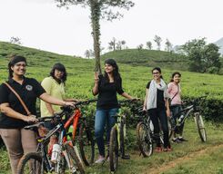 Wayanad Bicycle Tour and Camping