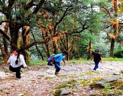 2-Day Adventure Getaway to Bir Billing