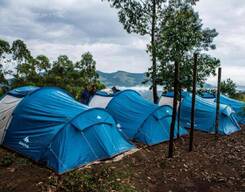 Overnight Camping at the Base of Kolukkumalai Hills, Munnar