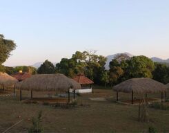 New Year Getaway to Nature Camp in Coorg