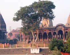 Bithoor Sightseeing Day Tour from The City of Lucknow