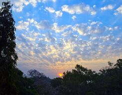 Horsley Hills 2-Day Sightseeing Tour from Bangalore City