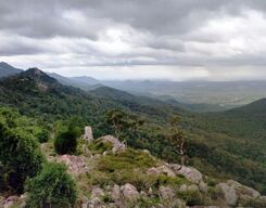 BR Hills 2-Day Sightseeing Tour from Bangalore