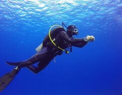 Scuba Diving at Neil Island