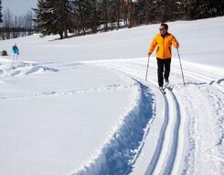 Full Day Skiing Lesson in Auli