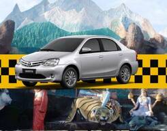 Gurgaon to Jalandhar One-Way Drop
