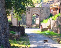 Bhangarh Fort 2-Day Sightseeing Tour from Delhi