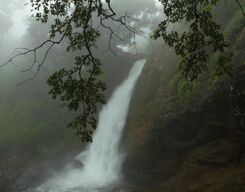 Wayanad 3 Days Sightseeing Tour from Bangalore City