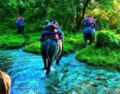 Dooars: A Wilderness Experience