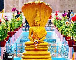 Sarnath One Day Tour from Varanasi