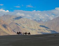 Road Trip Manali - Leh - Srinagar