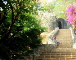 Junnar Sightseeing Day Tour from Pune
