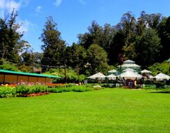 Ooty Local Sightseeing Day Tour from Mysore City