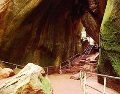 Wayanad 2 Days Sightseeing Tour from Mysore City