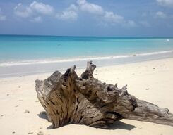 Enduring Andamans - 6 Days Tour
