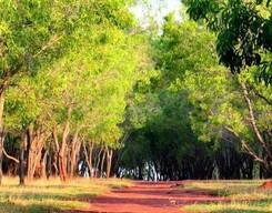 Nrityagram and Countryside Guided Tour of Bangalore