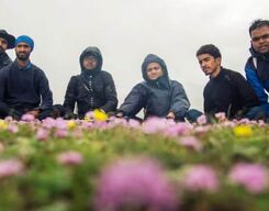 Tulian Lake Trek from Pahalgam