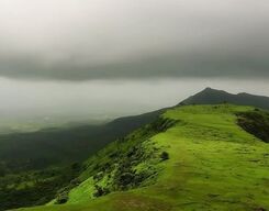 Garbett Point Trek