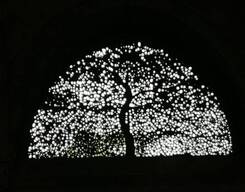 Ahmedabad Guided Sightseeing and History Tour