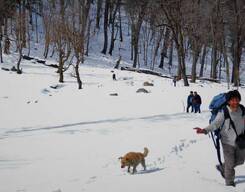 Kedarkantha Trek - Dehradun to Dehradun