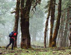 Nag Tibba Trek from Dehradun