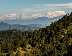 Binsar 2 Days Sightseeing Tour from Haldwani