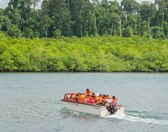 Baratang Island, Limestone Cave and Mud Volcano Tour from Portblair