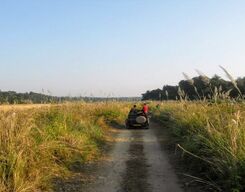Jim Corbett 2 Days Sightseeing Tour from Haldwani