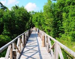 Baratang and Rangat Island 2 Day Trip from Port Blair
