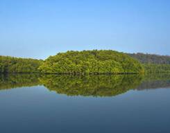 Baratang, Rangat & Long Island Tour