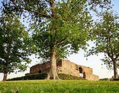 Hauz Khas Village Walking and Food Tasting Tour