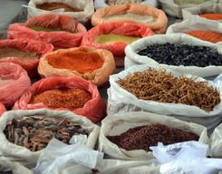 Magical Market Tour of Fort Kochi