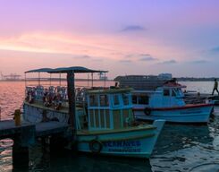 Fort Kochi Full Day Guided Sightseeing Tour