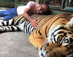Phuket Half Day Sightseeing Tour with Tiger Kingdom