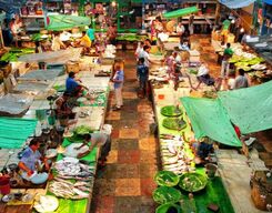 Pondicherry Market Walking Tour