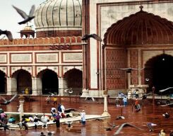 Old and New Delhi Guided Full Day Tour