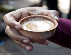 Chennai Street Food Tour