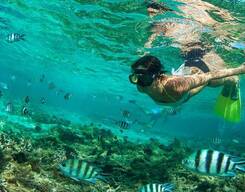 Snorkeling in Andaman